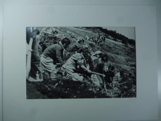 Albania. Road from Elbassan to Korcia. Girl of the youth ... (Fotografia originale vintage) - Uliano Lucas - copertina