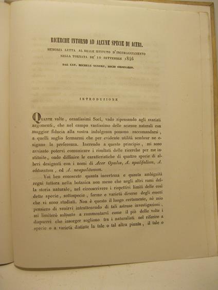 Ricerche intorno ad alcune specie di aceri. Memoria letta al Reale Istituto d'Incoraggaimento nella tornata.. - Michele Tenore - copertina