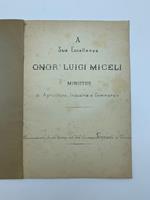 A Sua Eccellenza onor. Luigi Miceli Ministro di Agricoltura, Industria e Commercio. Memoria sulle scuole operaje del prof Giuseppe Ferrari di Verona