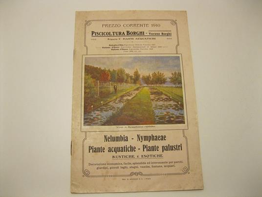 Piscicoltura Borghi. Varano Borghi. Nelumbia, Nymphaeae, piante acquatiche, piante palustri rustiche ed esotiche. Decorazione economica, facile, splendida ed interessante per parchi, giardini, piccoli laghi, stagni, vasche.. - copertina