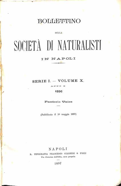 Bollettino della Societa' di naturalisti in Napoli. Serie I, volume X - copertina