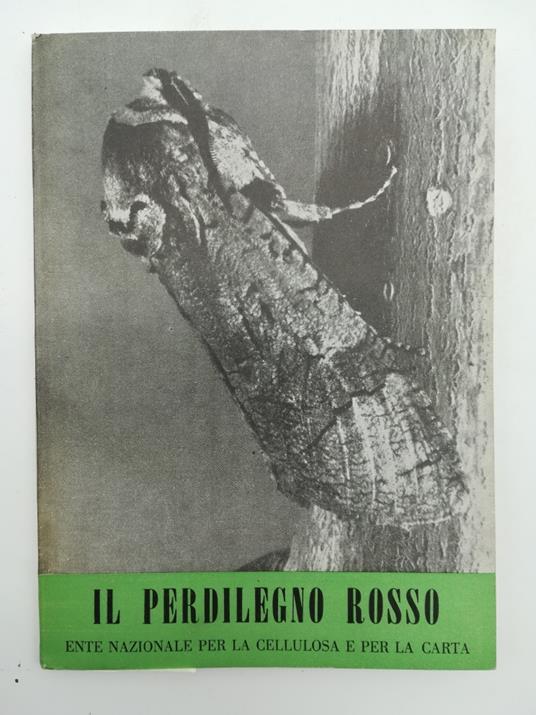 Il perdilegno rosso - copertina