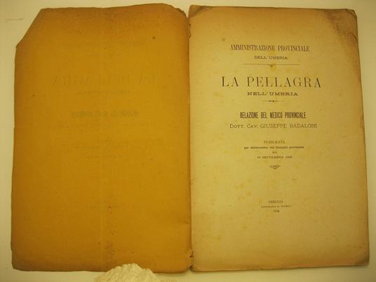 Amministrazione provinciale dell'Umbria. La pellagra nell'Umbria. Relazione del medico provinciale Dott. Cav. Giuseppe Badaloni pubblicata per deliberazione del Consiglio provinciale del 15 settembre 1893 - copertina