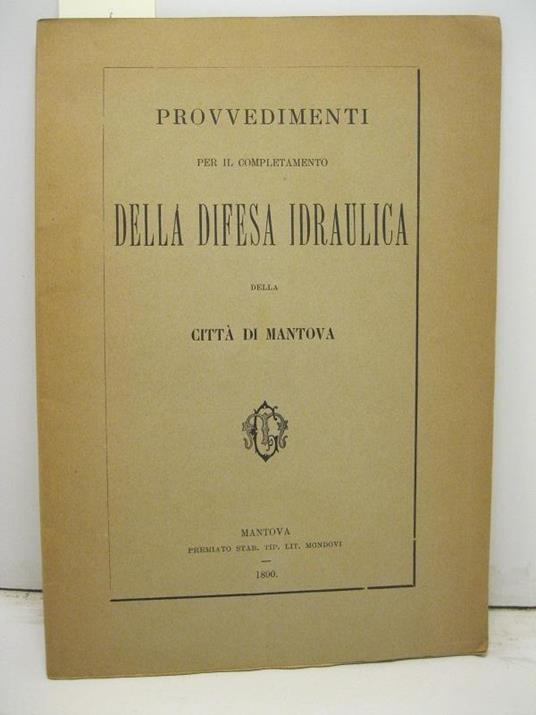 Provvedimenti per il completamento della difesa idraulica della citta' di Mantova - copertina