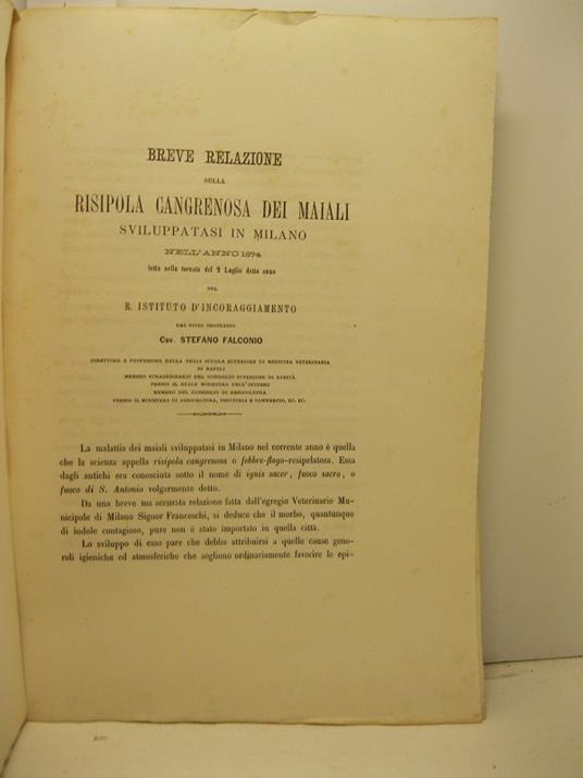 Breve relazione sulla risipola cangrenosa dei maiali sviluppatasi in Milano nell'anno 1874 - copertina