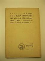 Sulla morfologia dei solchi cerebrali dell'uomo con osservazioni sui cervelli d'indigeni del Camerun. Estratto dalla Rivista di Antropologia, vol. XXVI