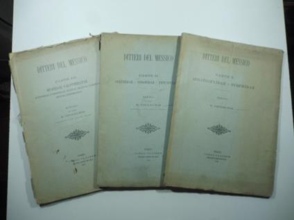 Ditteri del Messico. Memoria. Parte I, II, III - copertina