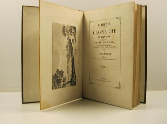 Il fioretto delle Cronache di Mantova raccolto da Stefano Gionta, notabilmente accresciuto e continuato sino all'anno 1844 per cura di Antonio Mainardi. Edizione ornata di ventiquattro delle principali vedute della citta' - copertina