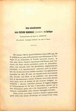 Sulla naturalizzazione della Testudo nemoralis in Sardegna