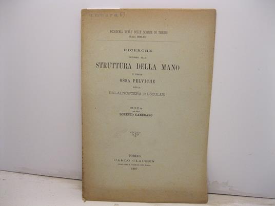 Ricerche intorno alla struttura della mano e delle ossa pelviche nella balaenoptera musculus - Lorenzo Camerano - copertina