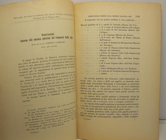 Osservazioni intorno alla mucosa palatina del camoscio delle Alpi - Lorenzo Camerano - copertina