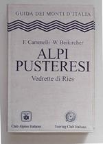 Alpi Pusteresi. Vedrette di Ries