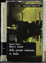 Breve storia della grande industria in Italia