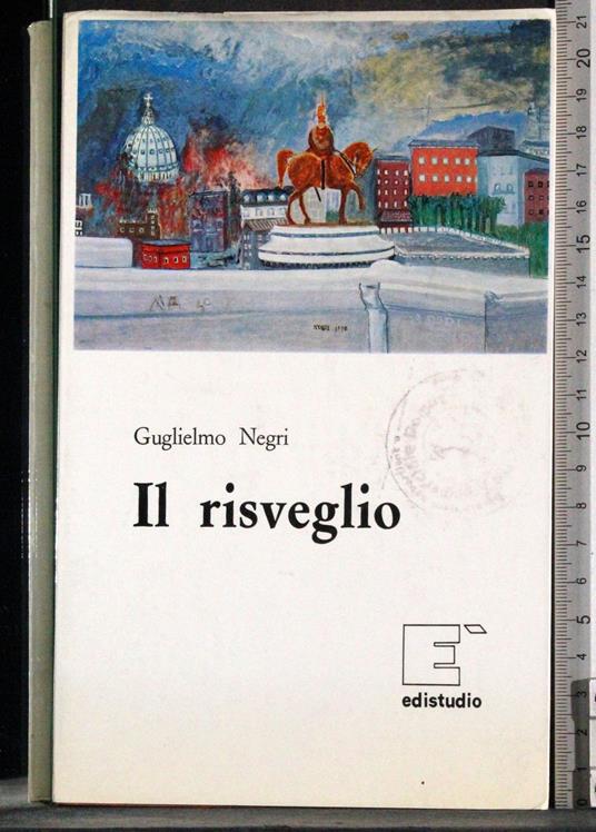 Il risveglio - Guglielmo Negri - copertina