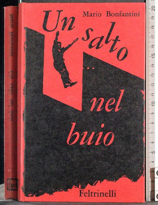 Un salto nel buio - Mario Bonfantini - copertina