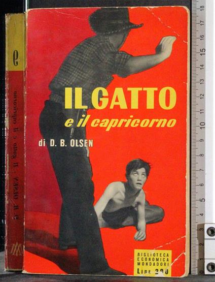 Il gatto e il capricorno - copertina