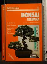 Bonsai Ikebana
