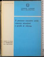 Il processo esecutivo civile: concrete attuazioni.