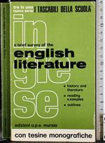 A brief survery of the english literature