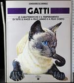 Gatti. Le caratteristiche e il emperamento