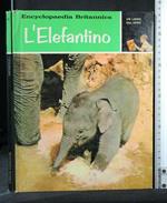 Un Libro Dal Vero L'Elefantino