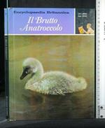 Un Libro Dal Vero Il Brutto Anatroccolo