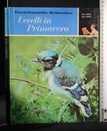 Un Libro Dal Vero Uccelli in Primavera