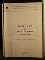 Manuale Del Diritto Del Lavoro