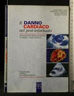 Il Danno Cardiaco Nel Post-Infartuato