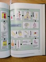 Medicine Illustrated - Numero 4 Volume 2 - Corriere Medico - Cartonato -