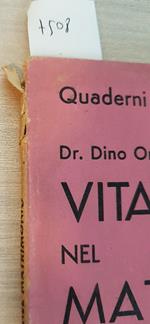 Vita Sessuale Nel Matrimonio - Dino Origlia - Paris - 1951 Sessualit