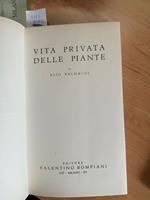 Vita Privata Delle Piante - Elio Baldacci - 1937 - Bompiani