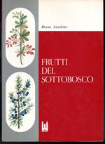 Frutti del sottobosco Morfologia di piante fruttifere (Acquarelli dal vero di Pia Belli)