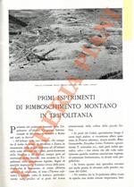 Primi esperimenti di rimboschimento montano in Tripolitania