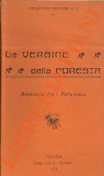 vergine della foresta. Avventure fra i pellerossa. Con disegni di Edel. Quarta edizione