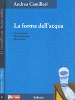 La forma dell'acqua