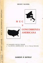 Mec e concorrenza americana