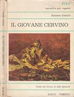 Il giovane cervino