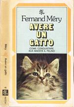 Avere un gatto