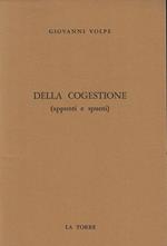 Della cogestione (appunti e spunti)