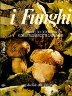 I funghi