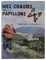 Mes Chasses Aux Papillons