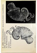 Il libro naturalistico-malacologico illustrato dal Quattrocento al Settecento Catalogo della mostra Mantova Biblioteca Comunale 10-31 maggio 1975