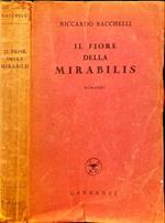 Il fiore della Mirabilis