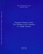 European monetary union: the problems of the transition to a single currency