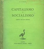 Capitalismo e socialismo