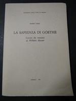 La sapienza di Goethe. Università degli studi. 1991