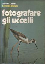 Fotografare gli uccelli - Alberto Chelini