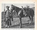 Gualdrappa e finimenti ricamati di un guerrioero scioano. Stampa 1936