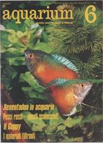 Aquarium. 1980 n 6